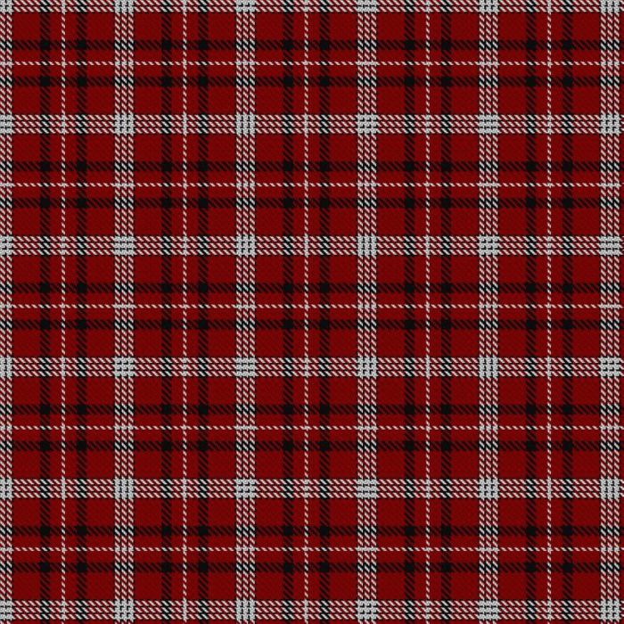 Bentley the Cardinal Tartan 
