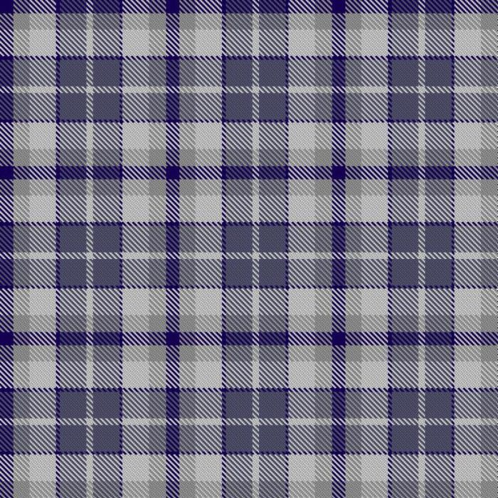 Bertha Park High School Junior Tartan 