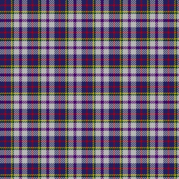 Bethesda Presbyterian Church Camden Bicentennial Tartan