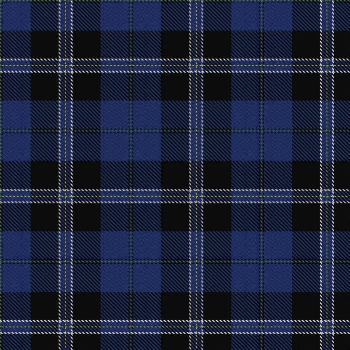 Binder Wedding (Personal) Tartan 