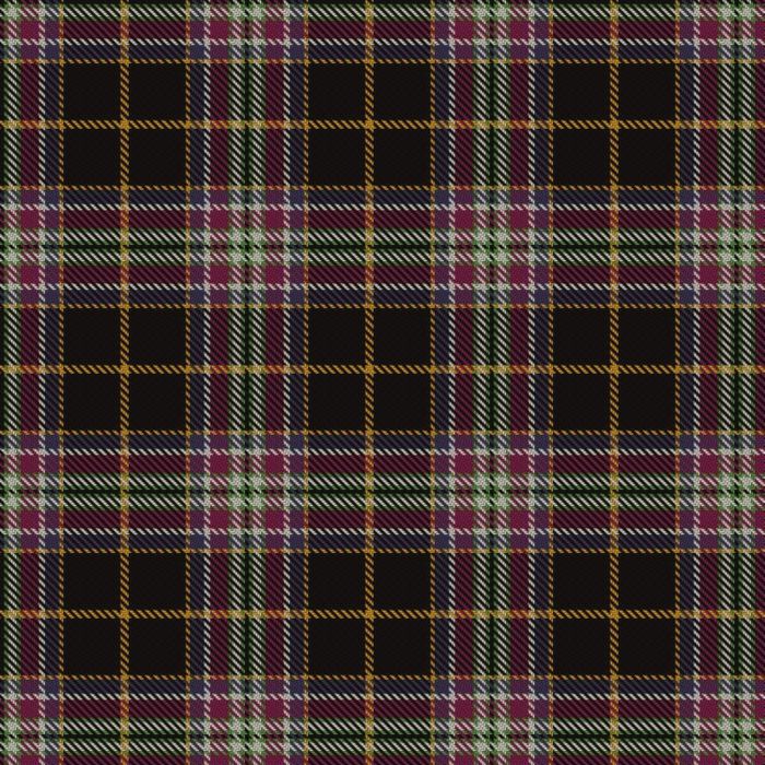 Bird Family (Wales) (Personal) Tartan 
