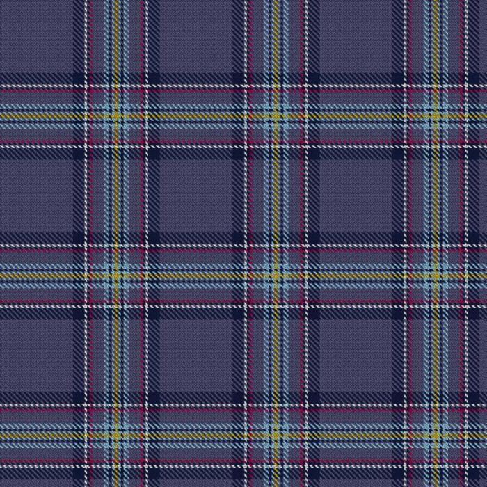 Blue Toon Tartan 