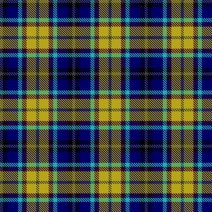 Bolderson, J and Family Dress (Personal) Tartan