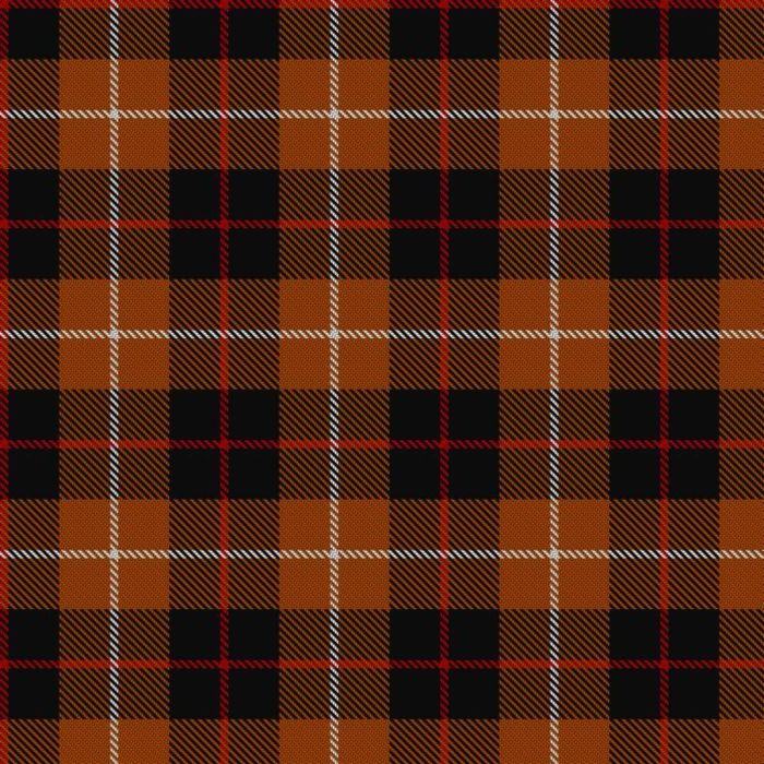 Bonhill Primary School Tartan 