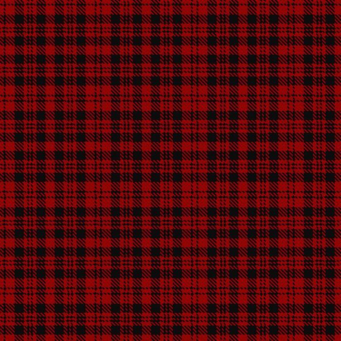 Border Reiver, Tartan 