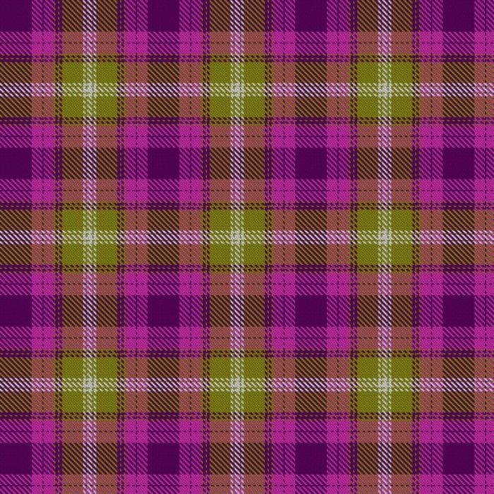 Borderlands Tartan 