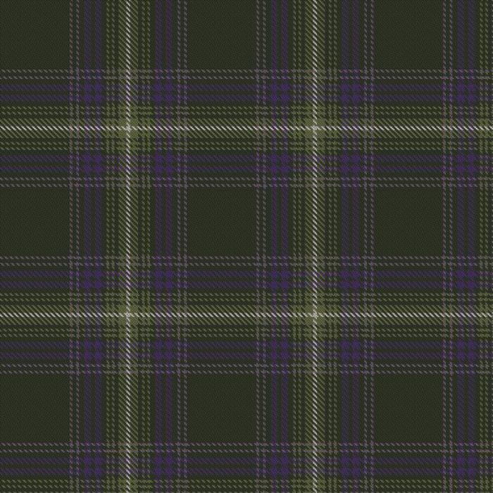 Boundary Layer Studio - Crìochan Ealain Tartan 