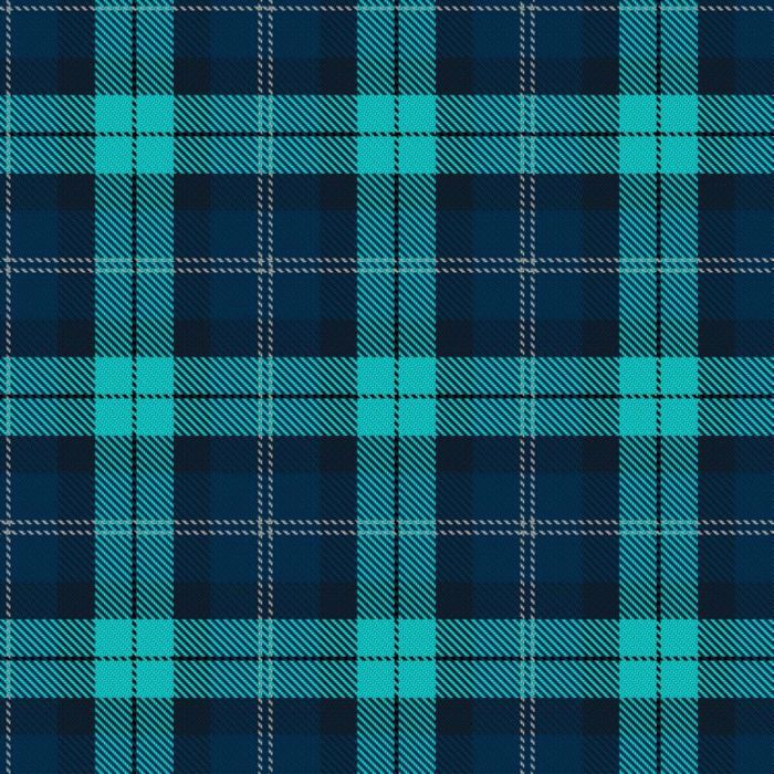 BrewDog Punk Tartan 