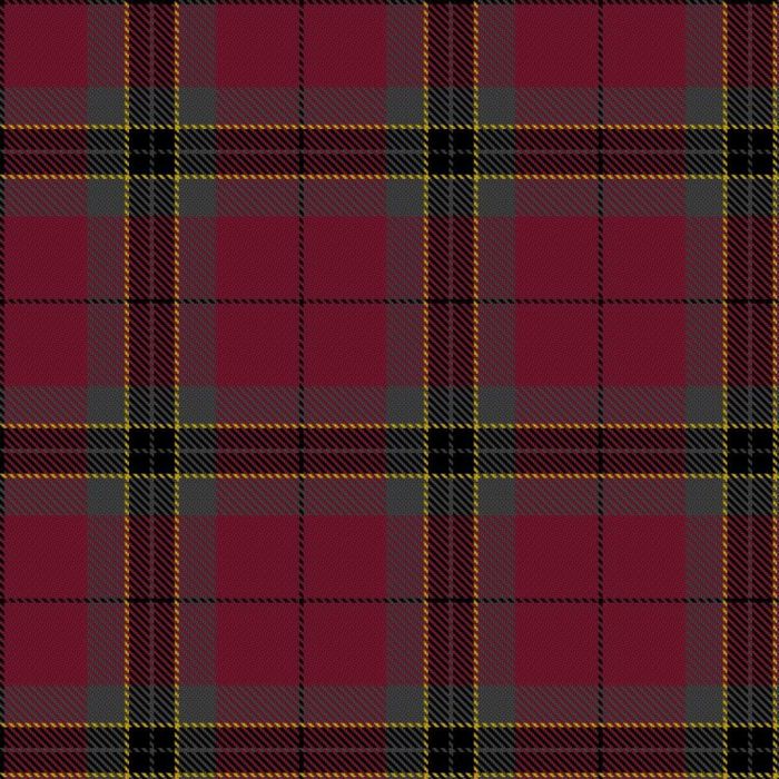 Briese, W (Personal) Tartan