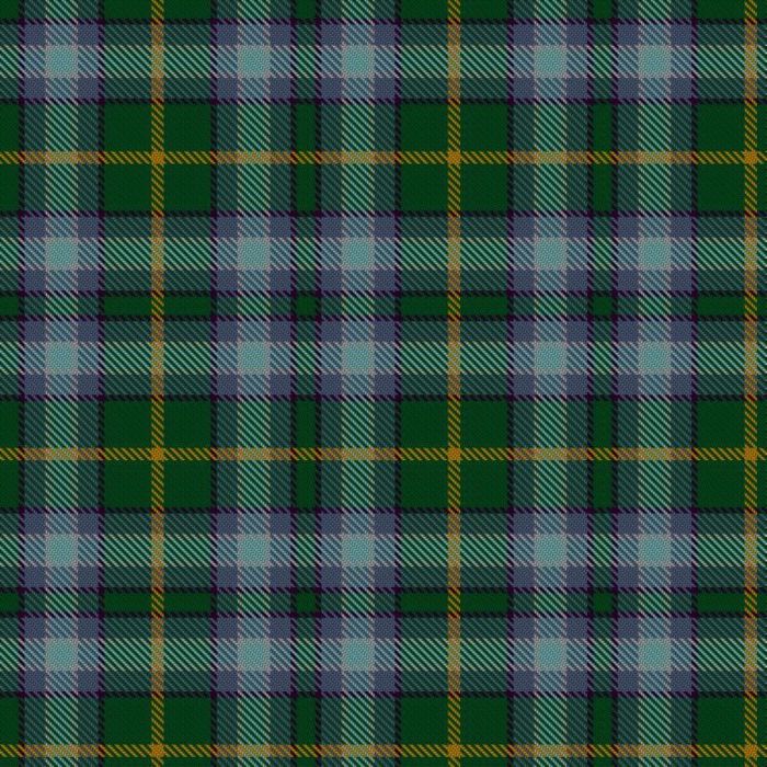 Brinton, J & Family (Personal) Tartan
