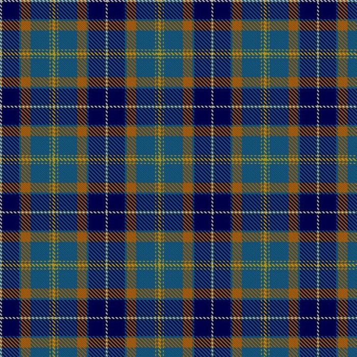 Brothers and Sisters of Paramedicine Tartan 