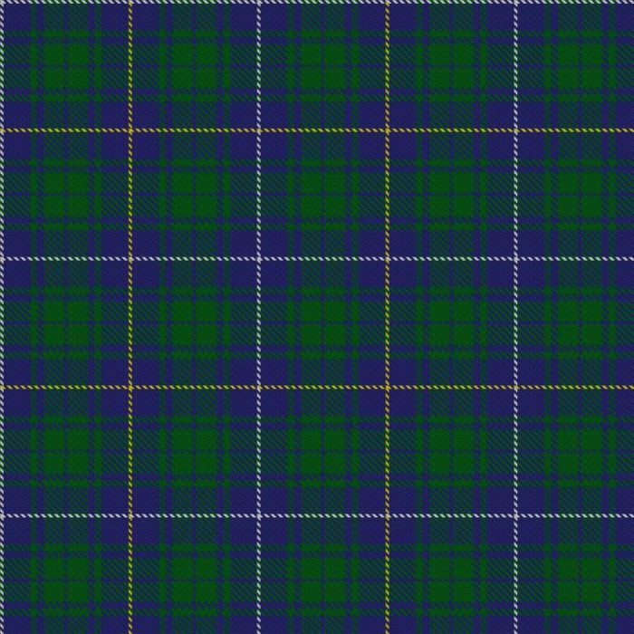 Bruce (Personal) Tartan 