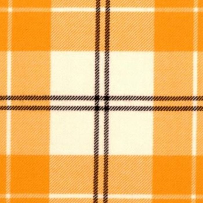 Bruicheath Ailsa Gold Tartan 