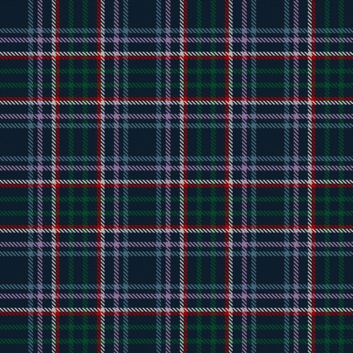 Bukowski-Jackson (Personal) Tartan kilt