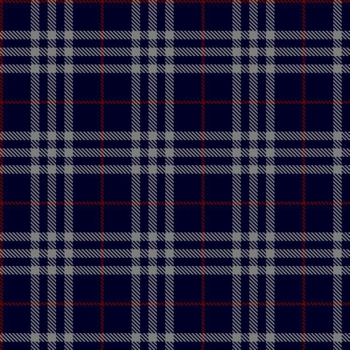 Burberry Blue Tartan 