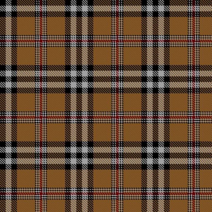 Burberry (Counterfeit #4) Tartan