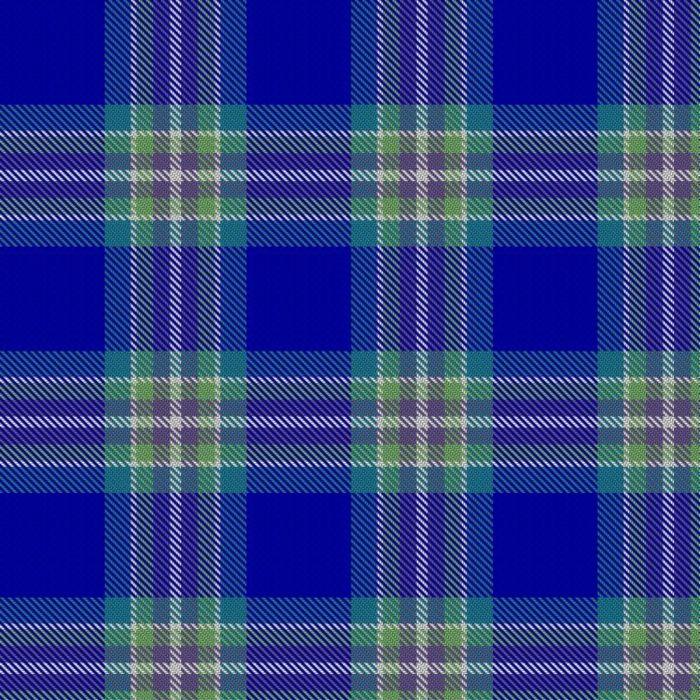 Bureau Veritas Tartan 