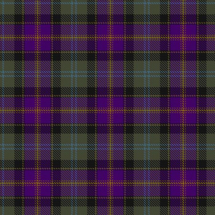 Caisteal Leòdhais Tartan