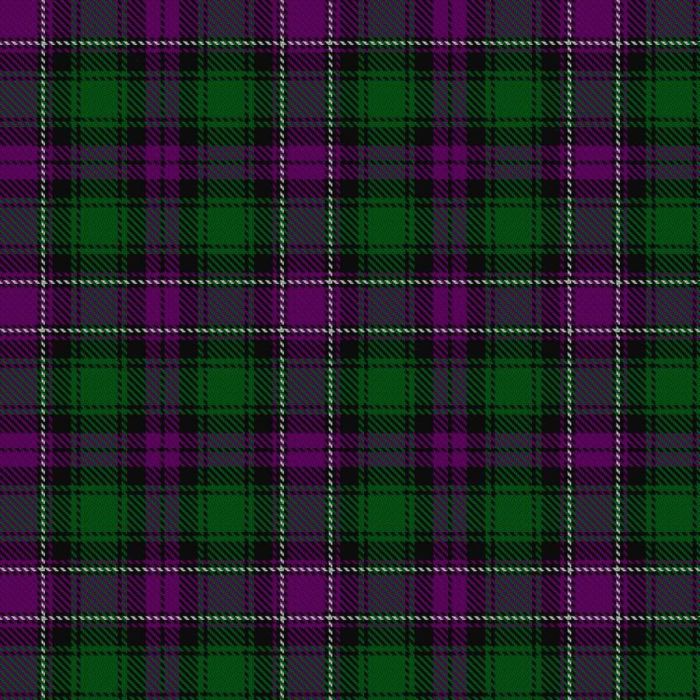 Caithelyn (Personal) Tartan