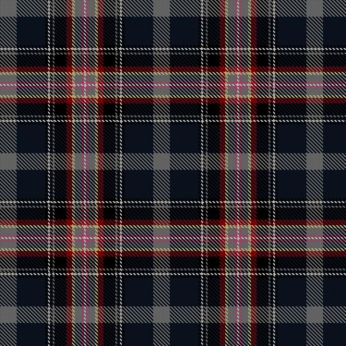 Caledonia Dreamin Tartan 