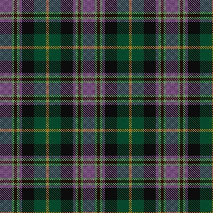 Caledonian Labrador Retrievers Tartan