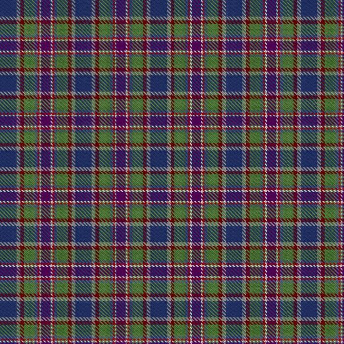 Caledonian Sleeper Tartan