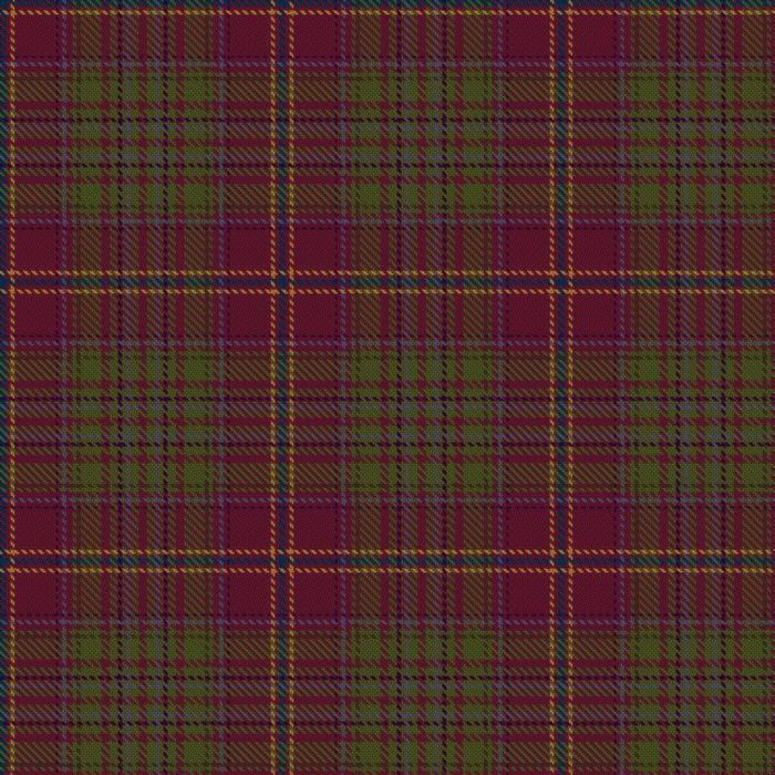 Call of the Wild Winter Tartan 