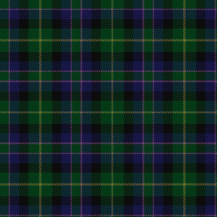 Camelot (Corporate) Tartan 