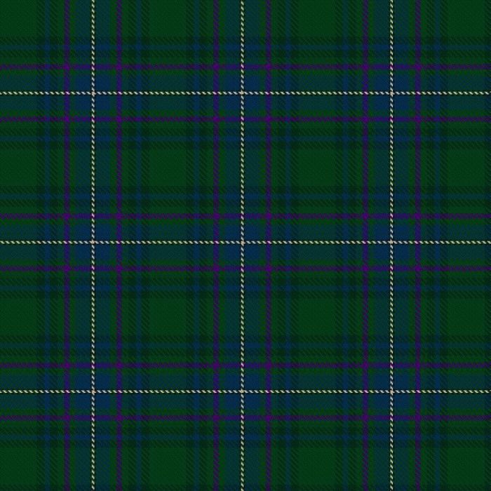 Camenisch Enveglan Family (Personal) Tartan