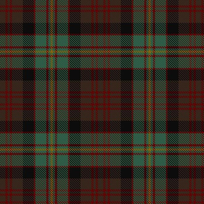 Cameron of Erracht (WCWM) Tartan 