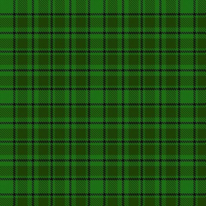 Campbell-Simpson (Personal) Tartan 