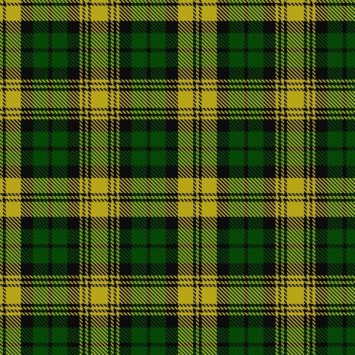 Campbell Collegiate Tartan 