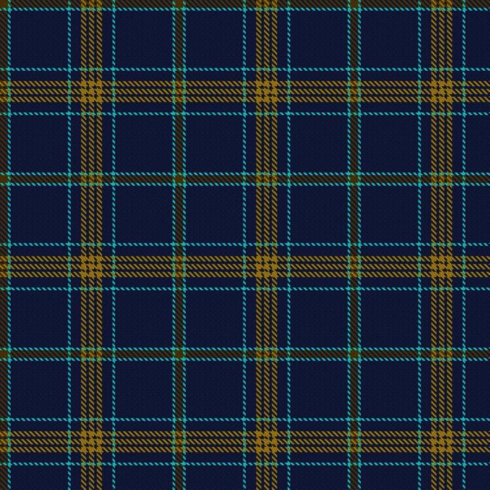 Carroll, R & Family (Personal) Tartan 
