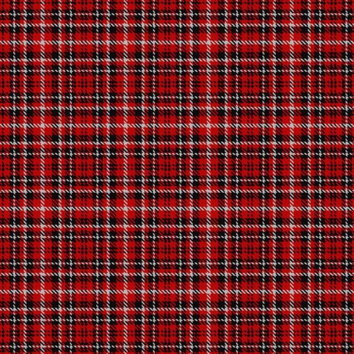Central Washington University Wildcat Tartan 