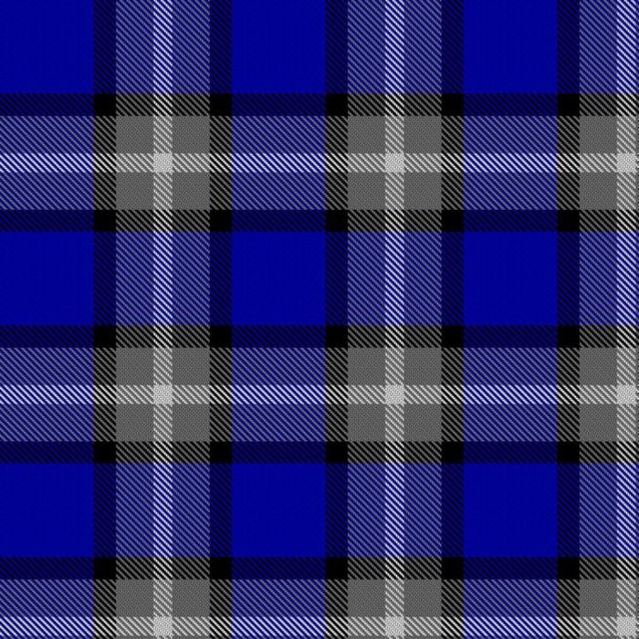 Centrestage (Fun, Food, Folk) Tartan 
