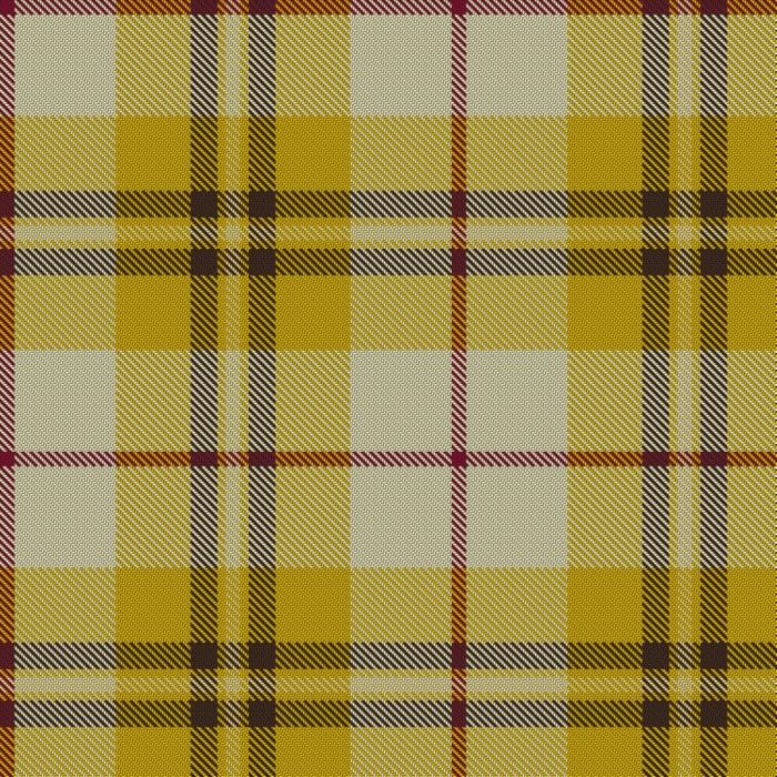 Cinnamon Ginger Tartan 