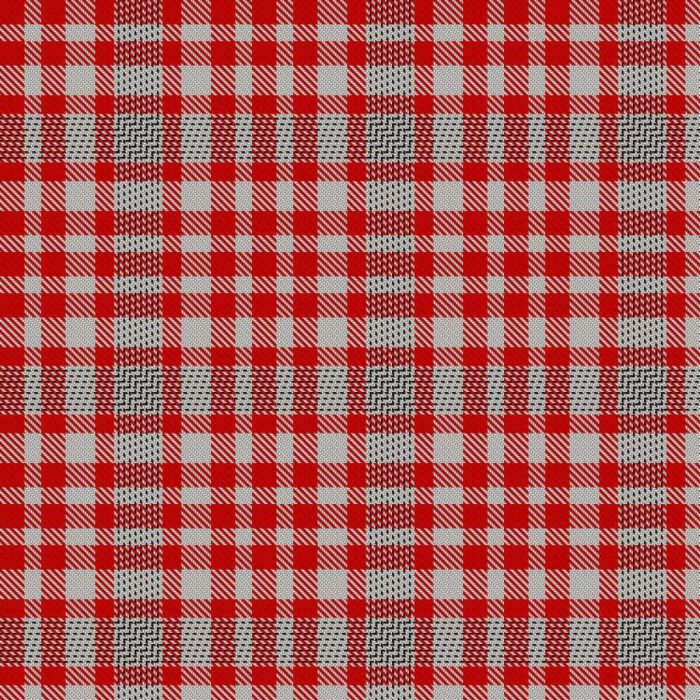 d'Andeville, Xavier (Personal) Tartan 