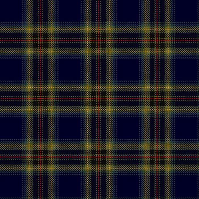 Dama Weekend Tartan 
