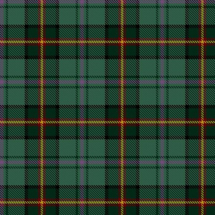 Dartmoor Tartan 