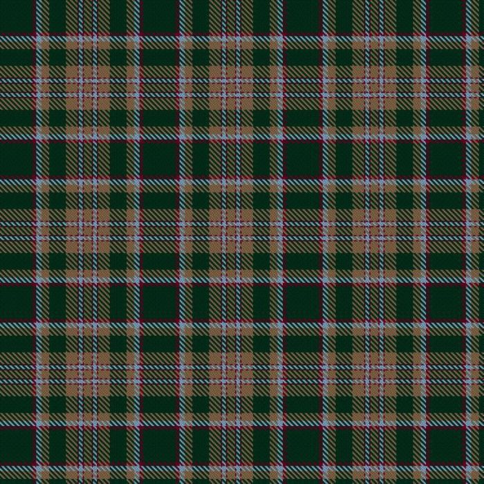 Davis, L W & Family (Personal) Tartan 