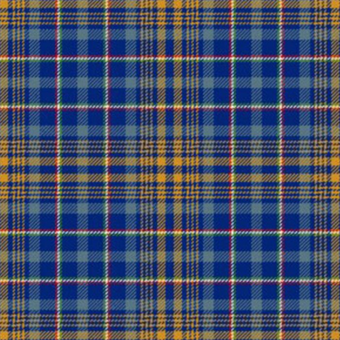 De Baseggio (Golden Bones) Tartan Kilt