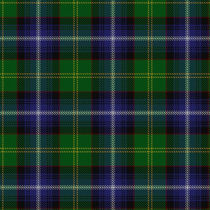 de Albergaria, Baron of Greencastle (Personal) Tartan 
