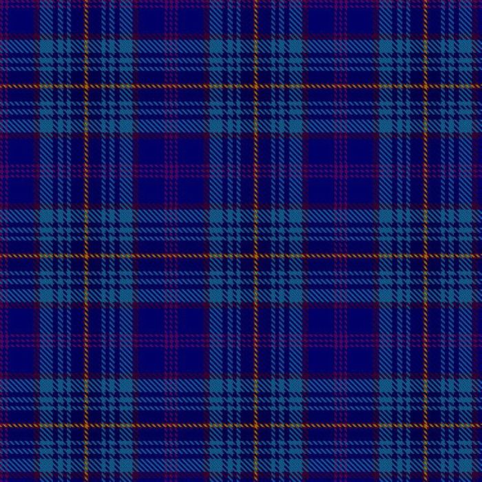 De Ridder Liu, S A L & J and Family (Personal) Tartan