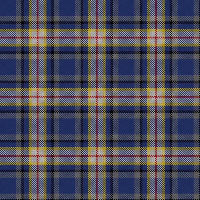 Deary, S & Family (Personal) Tartan 