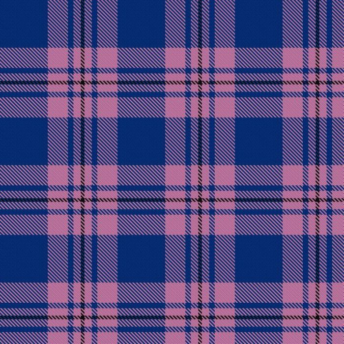 Debbie Munro Memorial Tartan 