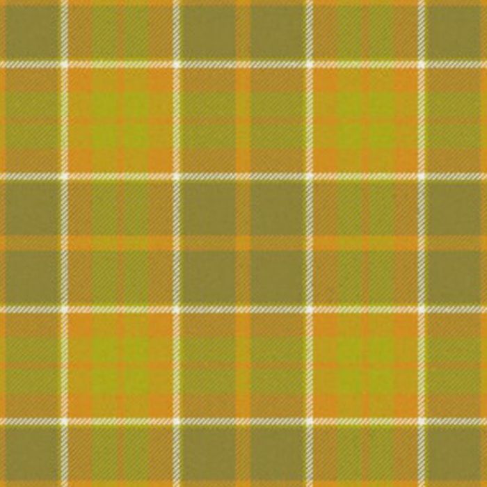Desert in Bloom Tartan Kilt
