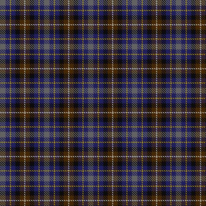 Devon Companion Tartan