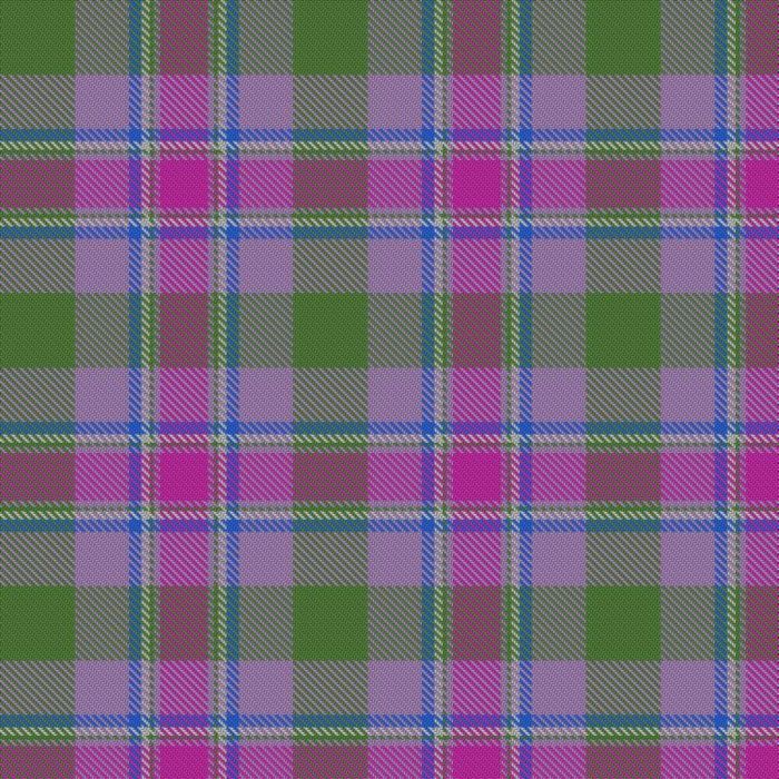 Dias-Parkinson, Mariana & Lindsay (Personal) Tartan 