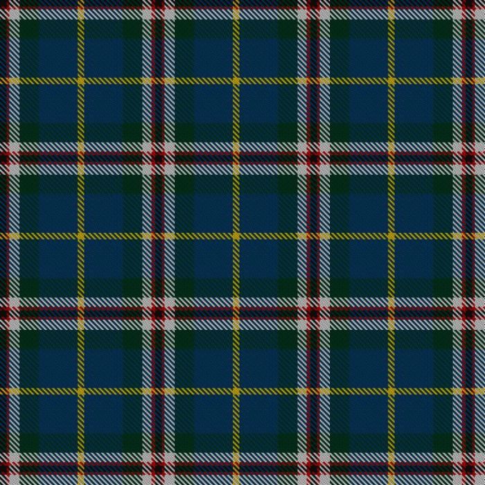 Dice Group Tartan 