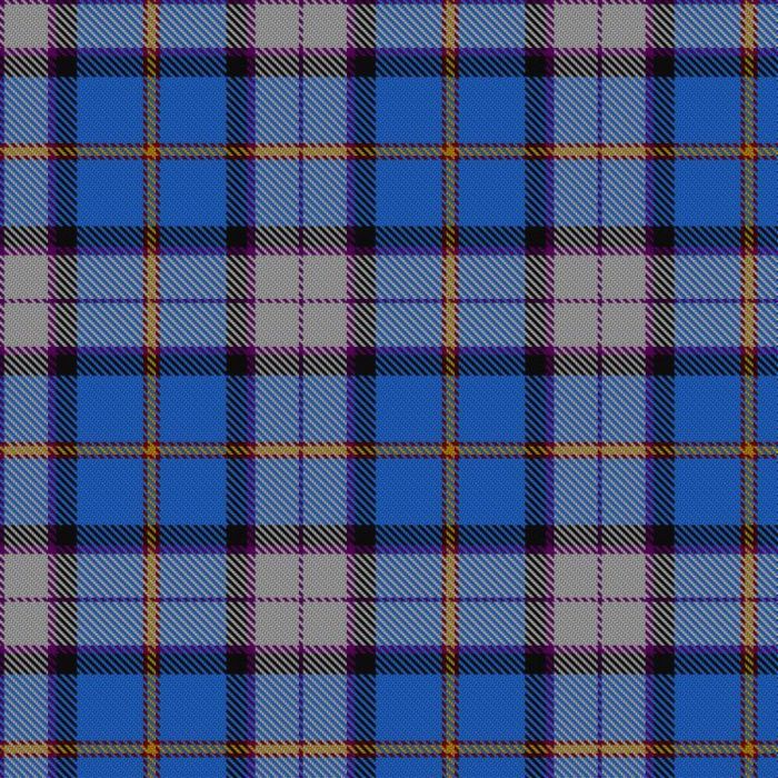 Dignan School of Dancing Tartan 
